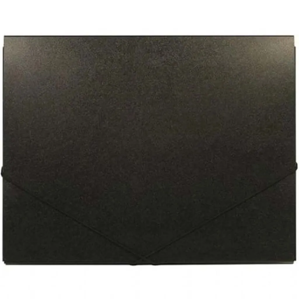 Deluxe Art Portfolio