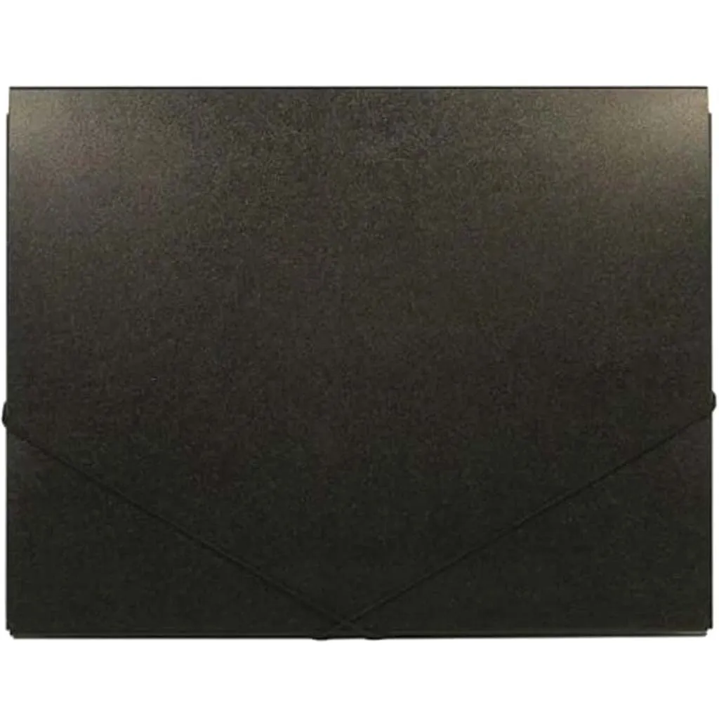 Deluxe Art Portfolio