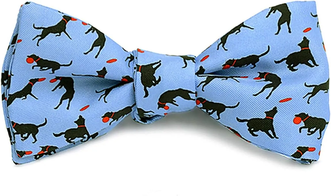 Men's Frisbee and Dog Self Tie Silk Bow Tie in Blue, Made in USA